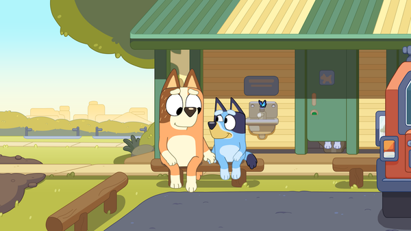 Is 'Bluey' bowing out or not? 